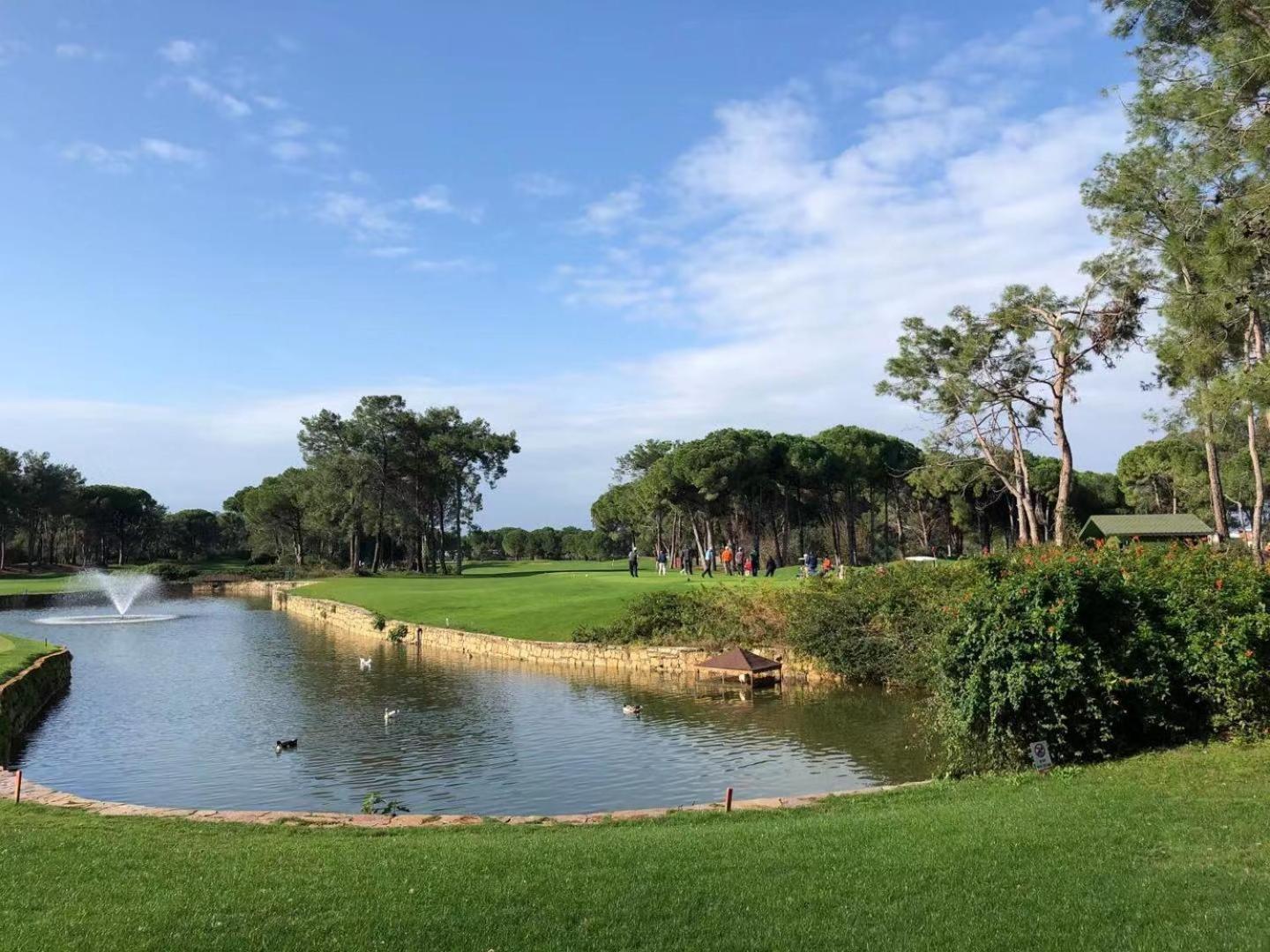 Modern Cozy 2-Bedroom Los Dolses Villamartin Dehesa de Campoamor  外观 照片